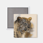 Luipaard safari magneten (Voorkant / Achterkant)