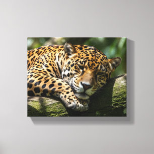luipaard slapend canvas wandkunst afdruk