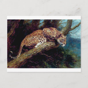 luipaard wild kattendierlijk antiek schilderij briefkaart