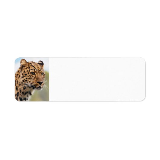 Luipaard Wilde Katten Etiket (Voorkant)