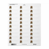Luipaard Wilde Katten Etiket (Full Sheet)