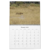 LUIPAARDEN - ALLE LUIPAARDKALENDER KALENDER (Jan 2026)