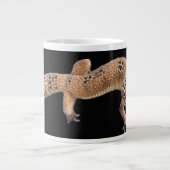 Luipaardgekko Extra Grote Beker (Voorkant)