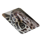 Luipaardgekko Ogen Mond  Gezicht Close-up Magneet (Rechterzijde)