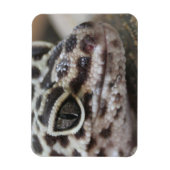 Luipaardgekko Ogen Mond  Gezicht Close-up Magneet (Verticaal)