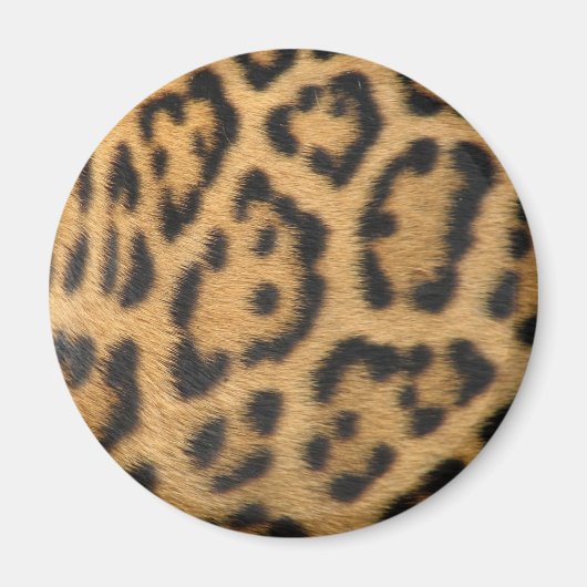 Luipaardprint Magneet (Voorkant)