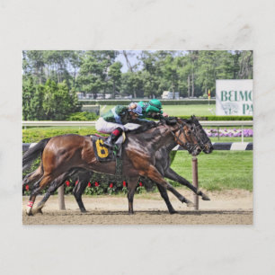 Luis Saez over Milesmore in Belmont Park Briefkaart