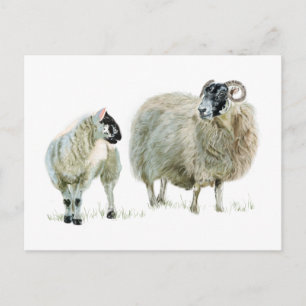 Luister altijd naar je Maya! Briefkaart