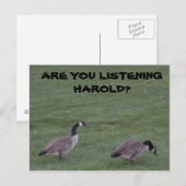 LUISTEREN JE HAROLD? briefkaart (Voorkant / Achterkant)