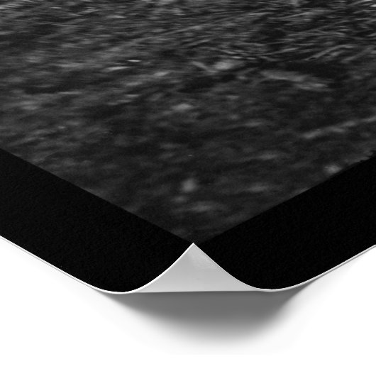 Luitenanten Custer, Bowen en Jones 1862 Poster (Hoek)