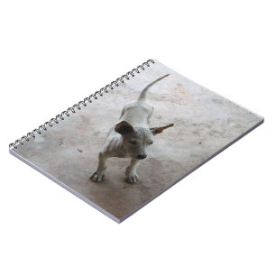 Luk Maa ... Thai Soi Puppy Dog Notitieboek
