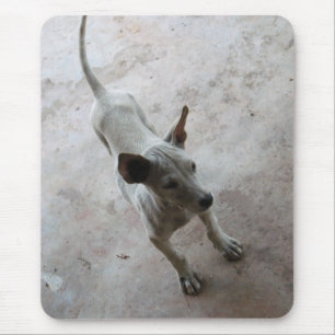Luk Maa ... Thais Soi Puppie Hond Muismat
