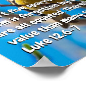 Lukas 12:6-7 poster (Hoek)