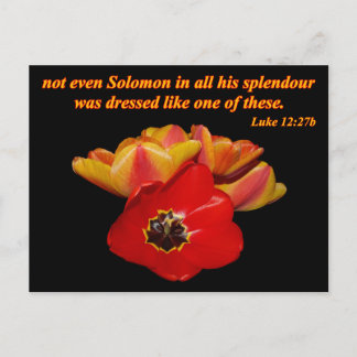 luke 12:27b en heldere tulpen briefkaart