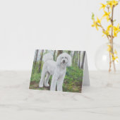 Luke de Gouden Kaart van de Nota van de Kunst van (Gele Bloem)