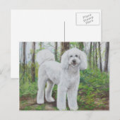 Luke het Briefkaart van de Golden Doodle Dog (Voorkant / Achterkant)