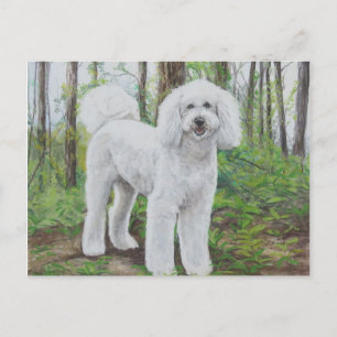Luke het Briefkaart van de Golden Doodle Dog