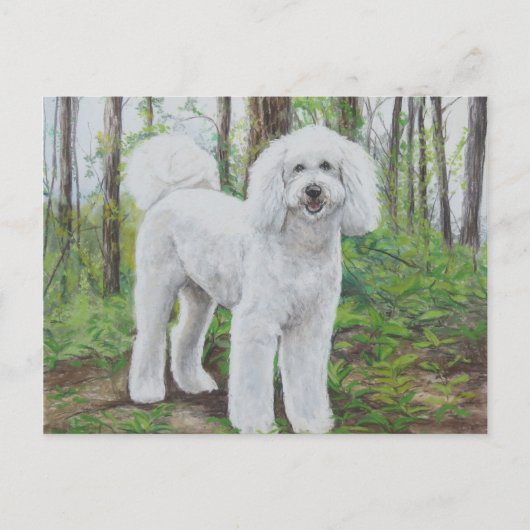 Luke het Briefkaart van de Golden Doodle Dog (Voorkant)