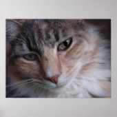 Lulu close-up poster (Voorkant)