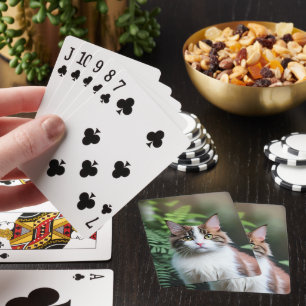 Lulu de lapjeskat, spel kaarten