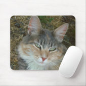 Lulu - dozing op Noon Muismat (Met muis)