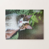Lulu Le Chat Brown Ragdoll, Puzzle Jigsaw (Horizontal)