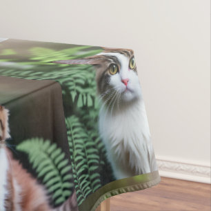 Lulu Le Chat De Ragdoll, Nappe