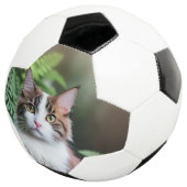 Lulu Le Chat De Ragdoll, Soccerball (3/4)