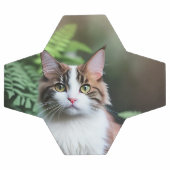 Lulu Le Chat De Ragdoll, Soccerball (Plat)
