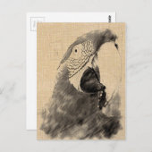 Lulu Macaw Sketch Briefkaart (Voorkant / Achterkant)