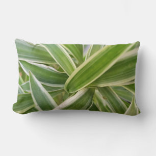 Lumbar Lance oreiller avec Serene Green & White