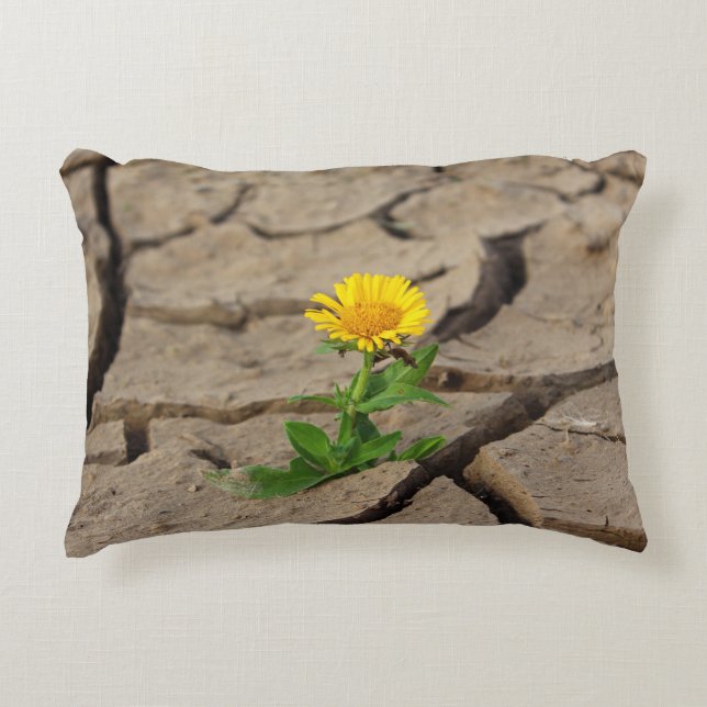 Lumbar Pillow 13 x 21 inch Accent Kussen (Voorkant)