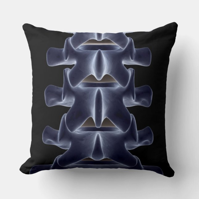 Lumbar Vertebra 2 Kussen (Voorkant)