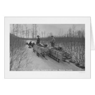 Lumber Dog Seward, Alaska 1917