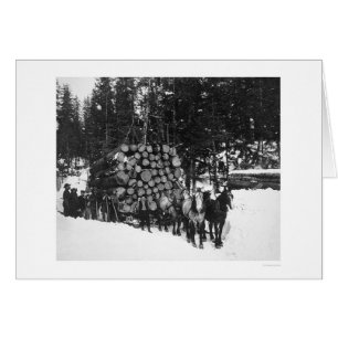 Lumber Hauling Seward, Alaska 1919