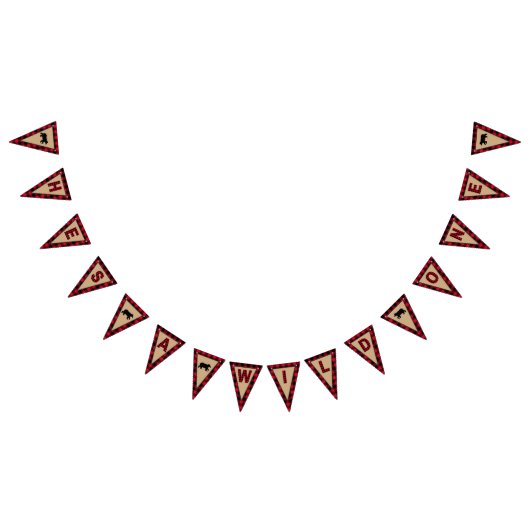 Lumberjack First Birthday, Wild One Vlaggetjes (Alle)