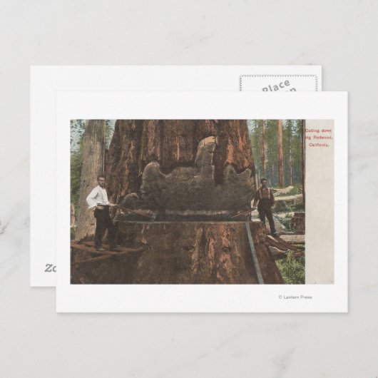 Lumberjacks die een sequoiaboom uitsnijden briefkaart (Voorkant / Achterkant)