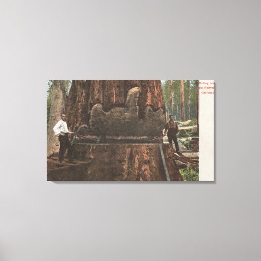 Lumberjacks die een sequoiaboom uitsnijden canvas afdruk (Voorkant)