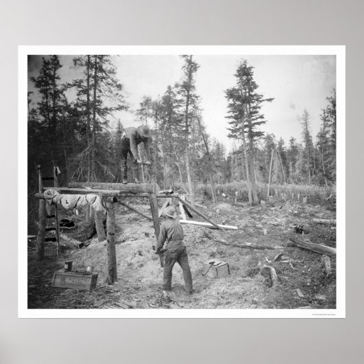 Lumberjacks in Alaska 1916 Poster (Voorkant)
