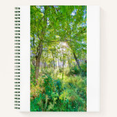 Lumière dans le carnet de notes de la forêt (Devant)