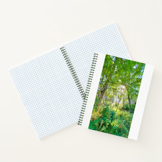 Lumière dans le carnet de notes de la forêt (Intérieur)
