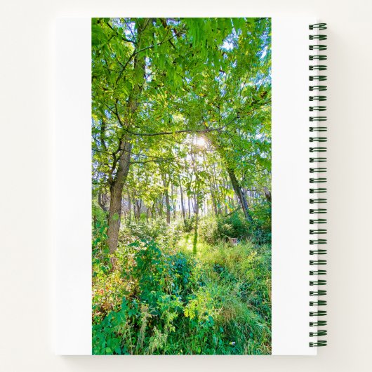 Lumière dans le carnet de notes de la forêt (Dos)