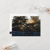 Lumière dans les arbres Cartes de Sympathie chréti (Devant/Arrière en situation)