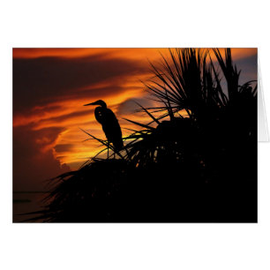 Lumière de effacement