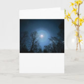 Lumière de nuit, carte (Fleur jaune)