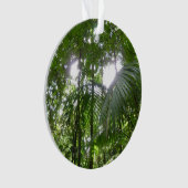 Lumière du soleil à travers la canopée de la forêt (devant)