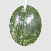 Lumière du soleil à travers la canopée de la forêt (devant)