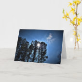 Lumière du soleil à travers les pins, carte (Fleur jaune)