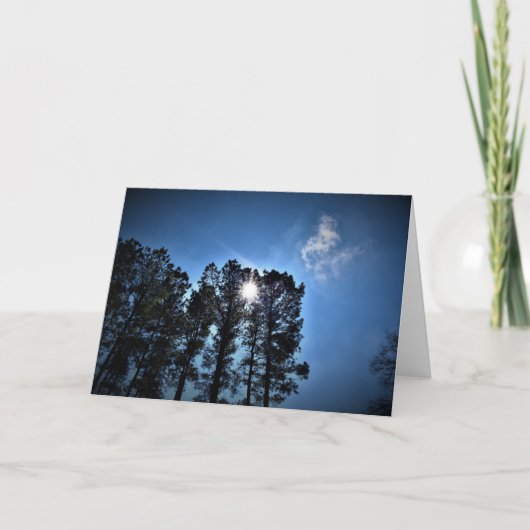 Lumière du soleil à travers les pins, carte (Devant)