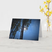 Lumière du soleil à travers les pins, carte (Fleur jaune)
